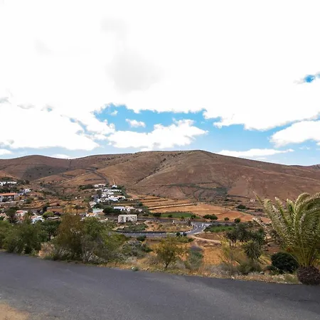 El Olivar Antonia *
