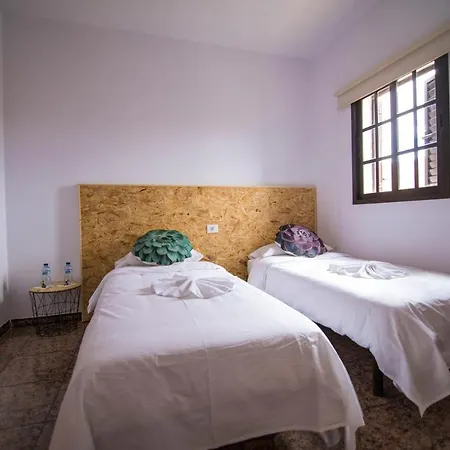 El Olivar Antonia *